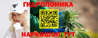тгк Сланцы