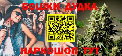 тгк Сланцы